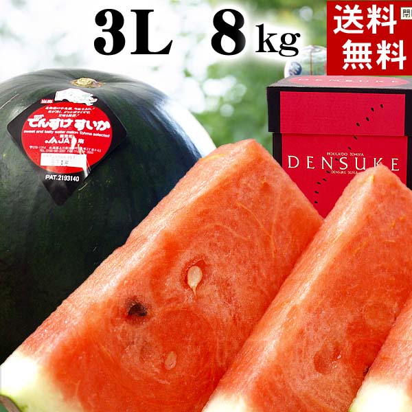 (送料無料) デンスケスイカ　秀品　3Lサイズ　8〜9kg　北海道グルメ (旬のフルーツ くだもの ギフト お中元)【楽ギフ_のし】【smtb-TK】(送料無料　でんすけすいか)ユニークな見た目と、シャキシャキっとした食感、そして甘みが強いデンスケスイカとして全国的にも話題の西瓜です。(お中元)