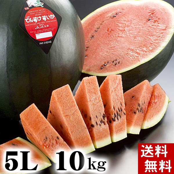 (送料無料) でんすけすいか　秀品　5Lサイズ　10〜11kg　北海道グルメ (旬のフルーツ くだもの ギフト お中元)