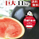 (送料無料) でんすけすいか　秀品　6Lサイズ　11kg以上　北海道産巨大玉スイカ (旬のフルーツ くだもの ギフト お中元)