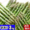 (送料無料)訳ありグリーンアスパラ 3kg前後 お徳用のわけあり品、サイズが不ぞろいのあすぱら。早朝採れたてアスパラガスが食べられるのは春だけアスパラベーコンなど料理多彩。【RCP】