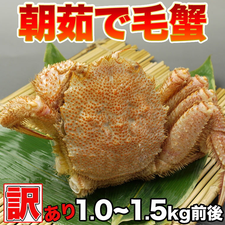 【送料無料】【訳あり茹で毛蟹（1.0〜1.5kg）】新千歳空港近郊のかに善より直送します。【送料無料】【沖縄地区のみ送料520円】【point_hkd_0501】【毛がに】【けがに】【かに】【カニ】【蟹】