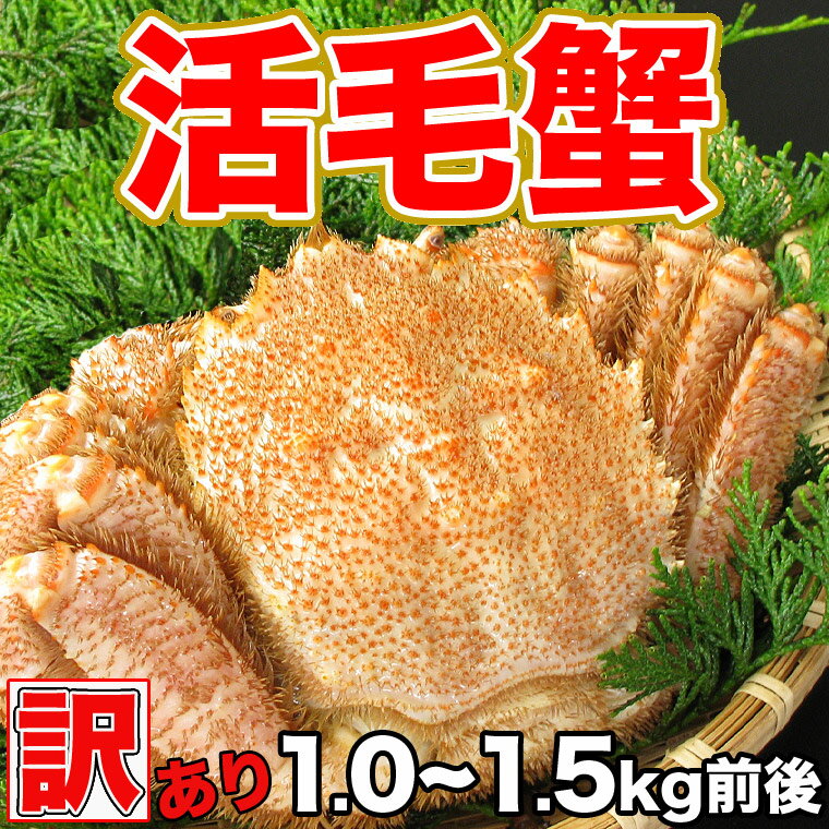 【送料無料】お得な【訳あり活毛カニ（1.0〜1.5kg）】新千歳空港近郊のかに善より直送します。【沖縄地区のみ送料520円】【2sp_120314_b】【point_hkd_0501】