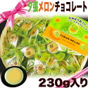 チョコ 夕張メロンチョコレート 230g入り 冷凍 夕張メロンパウダー使用 敬老の日 ギフト 贈答 内祝い