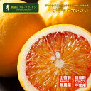 国産ブラッドオレンジ 観音山ジャポネーゼ B級品 9kg 観音山フルーツガーデン 送料無料