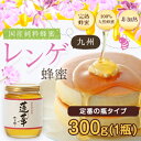 国産蜂蜜 九州レンゲ蜂蜜(はちみつ) 300g 蜂蜜専門店 ...