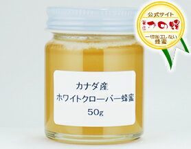 かの蜂のはちみつカナダ産ホワイトクローバー蜂蜜 50gはちみつ専門店【かの蜂】