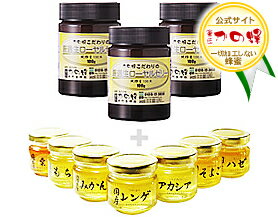 ★送料無料★厳選生ローヤルゼリー100g純粋生100%の王乳3か月分セット選べる蜂蜜90g×3本プレゼント