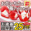 【 送料無料 】お花のようないちごアイス&苺アイスクリームセ...