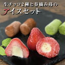 アイス 福袋 詰め合わせ お中元 ギフト 生チョコアイス チ...