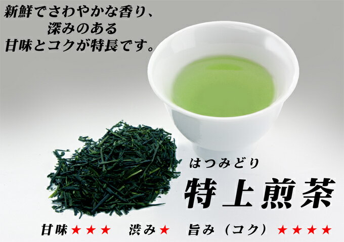 八女茶　特上煎茶（はつみどり）100g　1,050円　【送料無料＝メール便】