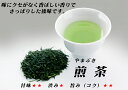 八女茶　煎茶（やまぶき）100g　315円 【送料無料＝メール便】