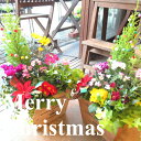 【送料無料】クリスマスのおまかせ寄せ植え(スクエアウッドボッ...