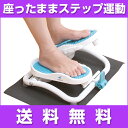 テレビで話題の健康器具★ステッパー モーションナビ エアロライフ【足 腰 筋トレ 骨盤 骨盤低筋群 リハビリ 運動 ダイエット ながら運動 健康ステッパー】