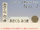 ★お名前スタンプ【ねいみ〜♪】オプション No.7　【10mm×60mm】　
