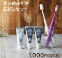 【1000円 ポッキリ 送料無料 】 歯科専売 ホワイトニン...