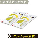 【送料無料】窓用バキュームクリーナー専用洗浄剤 2箱セット(ケルヒャー KARCHER 家