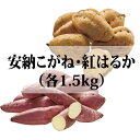 【さつまいも】【鹿児島】【安納芋】【種子島】安納こがね・紅はるかセット(各1.5kg)【楽ギフ_のし】【楽ギフ_のし宛書】