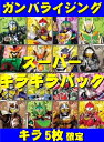 【SR以上5枚確定】 ガンバライジング☆スーパーキラキラパック☆ (全5枚入り ※N・R無し)