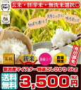 【新米入荷】【送料無料】 29年産 新潟産マイスター特選こし...