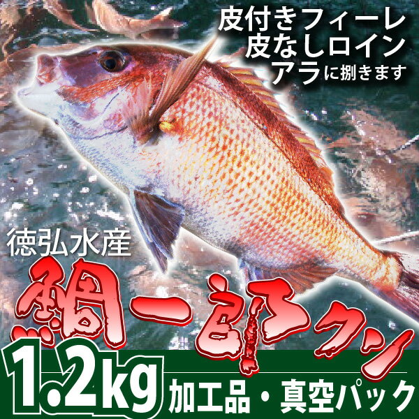 【NHKおはよう日本で紹介されました】徳弘水産ブランド真鯛『鯛一郎クン』宇和島養殖真鯛・皮…...:kashitani:10141181