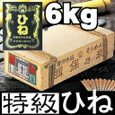 【送料無料 レビュー記入で5%OFF】手延そうめん『揖保乃糸』特級品(黒帯)[古]《50g×120把：6000g》●【6kg荒木箱】揖保の糸(引出物/出産内祝い/結婚内祝い/法事/粗供養)