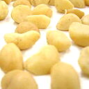 マカダミアナッツハーフ ロースト 500g(常温) 業務用