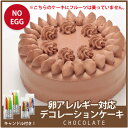 【アレルギー対応】卵アレルギー対応 デコレーションケーキ チ...