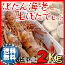 【送料無料】子持ボタンエビ1キロ+宗谷産生ホタテ1キロ!合計2キロのお得セット福袋! 【 お中元 夏ギフト 】【楽ギフ_のし宛書】【マラソン201708_送料込み】