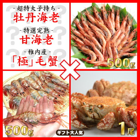 【送料無料】《特大牡丹海老500g》《完熟甘海老500g》《稚内毛蟹1尾》3種セット【楽ギフ_のし宛書】【楽ギフ_メッセ入力】【お中元】【SBZcou1208】【送料込】【あす楽_土曜営業】3大海鮮を食べ比べ！特大子持ちボタンエビ甘くてプリプリ！完熟甘エビ♪稚内産「極」毛ガニ