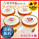 【送料無料】稚内牛乳のアイスクリームビッグカップ4個セット ...