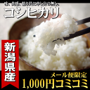 【28年産】お試し新潟産コシヒカ...