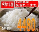 送料無料でお届け令和1年産 秋田県産あきたこまち10kg...