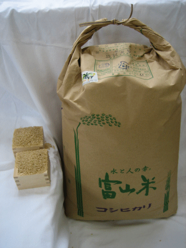 送料無料、体に優しい玄米食玄米　23年産　富山県産コシヒカリ　10kg