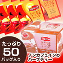 【1バッグあたり24.8円】LIPTON リプトン　シナモンアップルハーブティー　50バッグ【あす楽対応_関東】関連ワード【紅茶】★商品合計金額1,800円以上送料無料★LIPTON/リプトン/シナモンアップルハーブティー/50バッグ紅茶