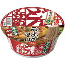 日清食品 どん兵衛天ぷらそば　東日本風　12個入関連ワード【NISSIN、インスタント】