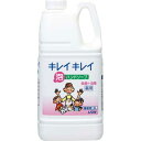 ライオンハイジーン キレイキレイ薬用泡ハンドソープ 業務用 ...