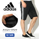 【P5倍!6/17 13:59まで】adidas アディダス...