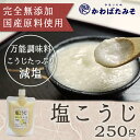 塩麹 無添加 万能調味料 パウチ 250g ポイント消化 お...