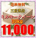 【送料無料】平成29年 三重県産 ミルキークイー
