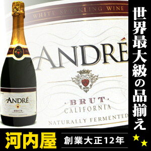 アンドレ ブリュット ニューラベル 750ml 正規代理店輸入品 （Andre Brut）  (002) kawahc