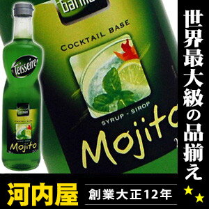 テセール モヒート フランス産ノンアルコール シロップ 700ml （Teisseire Mojito Special Barman Syrop）  kawahc