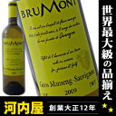 アラン・ブリュモン VDP ガスコーニュ ブラン 白ワイン 750ml  ワイン フランス 南西部 白ワイン kawahc