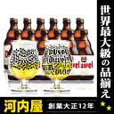 世界一魔性を秘めたビールと称されるゴールデン・エールの最高峰デュベル330ml×12本＋更に美味しく飲めるデュベルコレクショングラス2脚付円高還元モルトガット醸造所デュベルビール 17時迄のオーダー本州翌日お届け