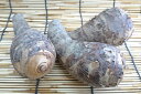 徳島県産 海老芋 1kg(Mサイズ 5-7本)