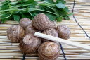 京都丹後産 浜詰小芋(Lサイズ200g・約6個)