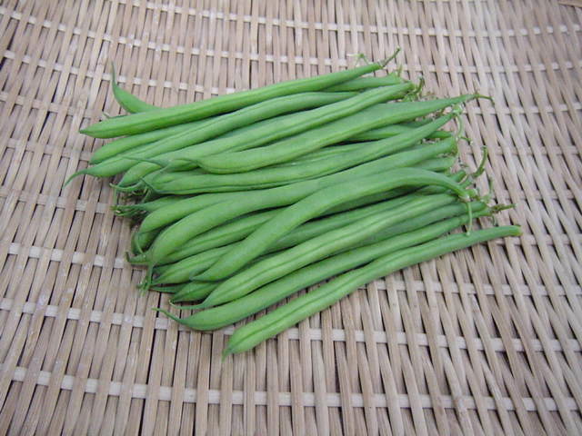 北海道産　三度豆（100g）