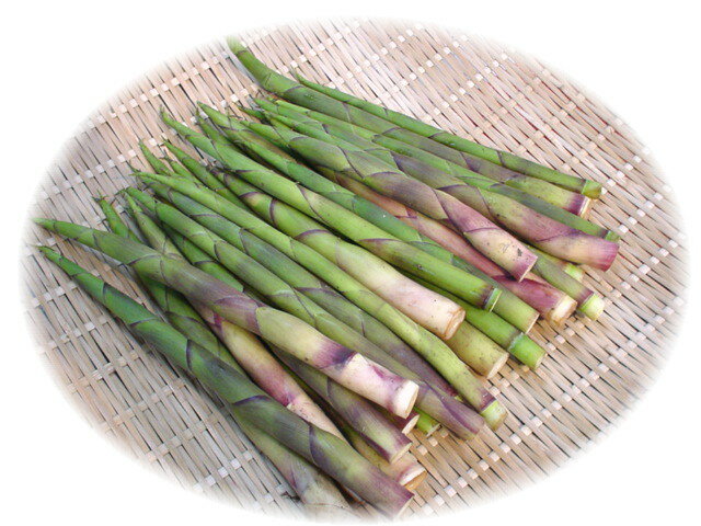 山形県産　姫竹の子（五三竹）（200g）