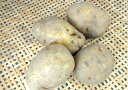 北海道産じゃがいも インカのめざめ(Mサイズ 1kg入 約7...