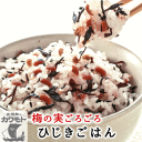 福井県産の梅使用。カリカリの梅がごろごろ入った自信作!『梅の実ごろごろひじきごは