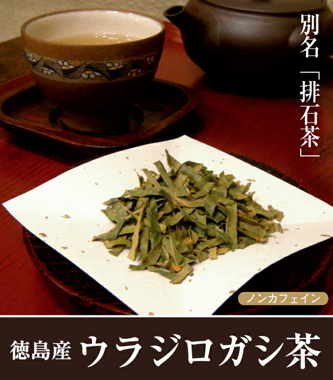 ウラジロガシ茶 【お試しワンコイン♪】石ころすっきり！別名「排石茶」徳島県産100％で安心・安全☆美味しいうらじろがし茶【国産】【うらじろがし茶】【無添加・無着色】【送料無料】【メール便】